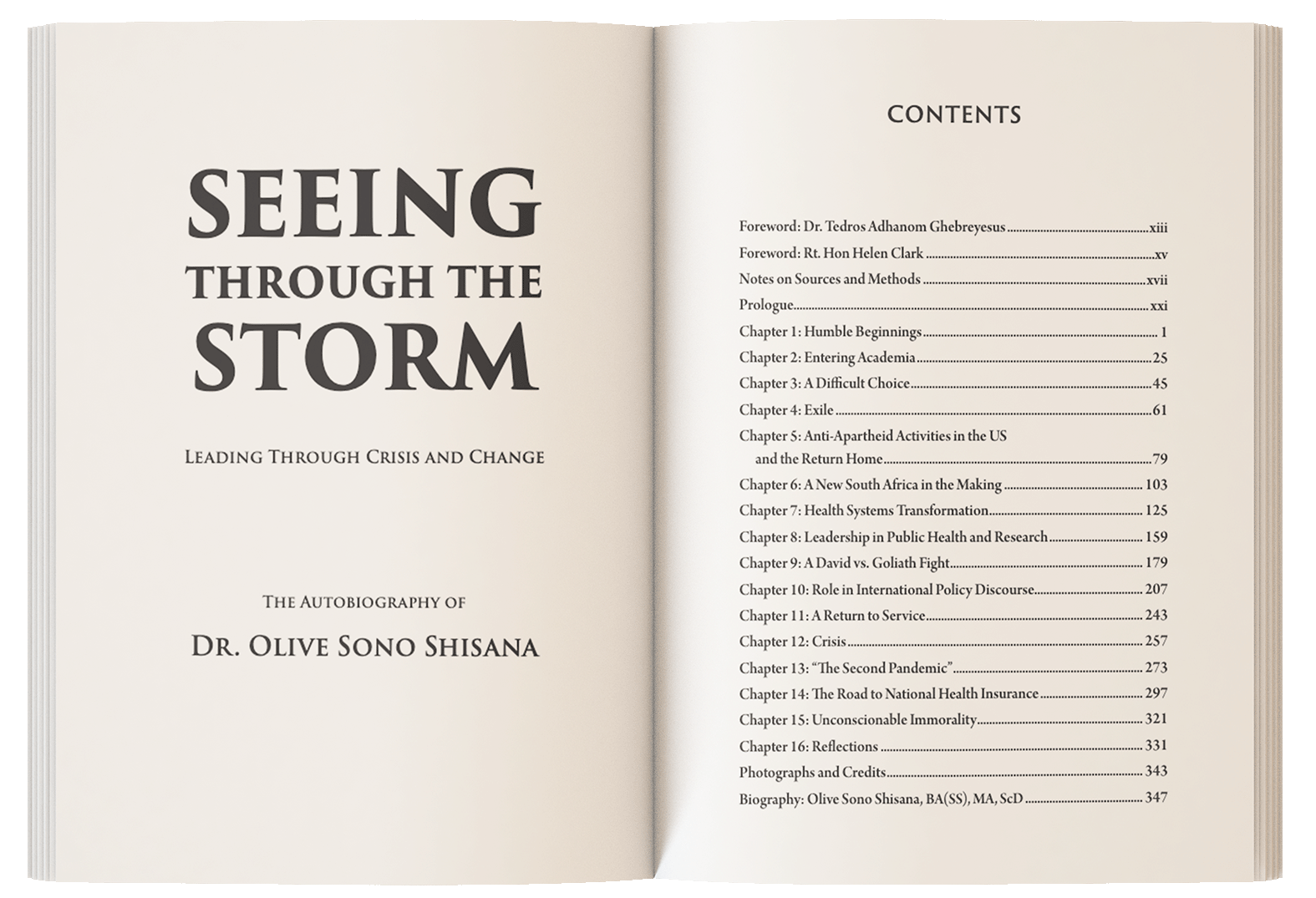 Table of Contents image from Seeing Through The Storm book by Dr. Olive Sono Sishana